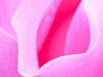 Dr Simone Matousek Plastic Reconstructive and Cosmetic Surgeon genital rejuvenation