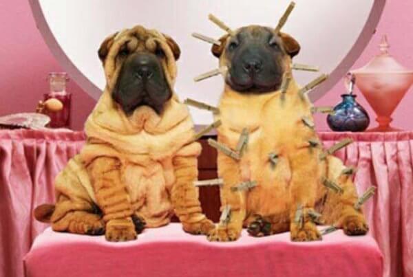Botox-injections-Sydney